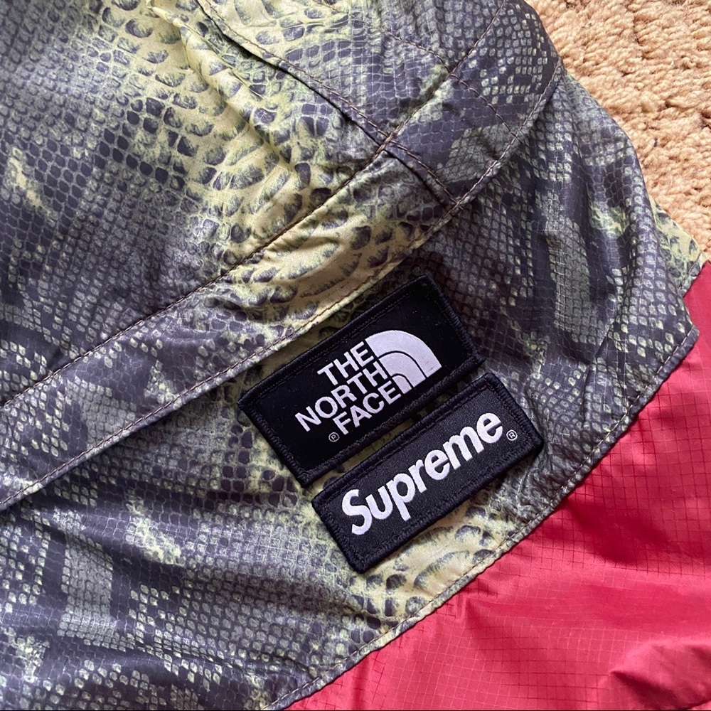 Supreme The North Face Snakeskin Backpack - Picture 3 of 5